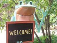 2016 - MortArboretumFrogs 0045 : Morton Arboritum, 2016 - Morton Frogs